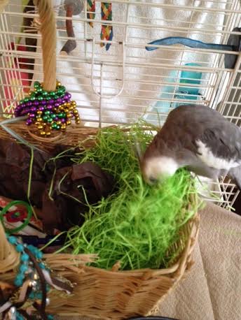 I'll just test out its softness for myself.