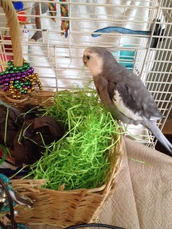 Yes, this is just perfect. Great texture, nice flavor, and the color is sublime.