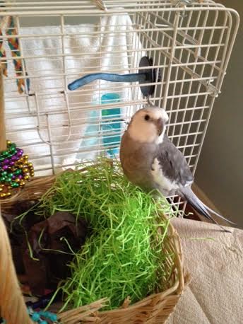 Wow Mom - I didn't think you had it in you!