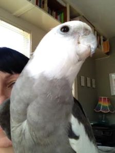 Profile looks even prettier than I remembered too!