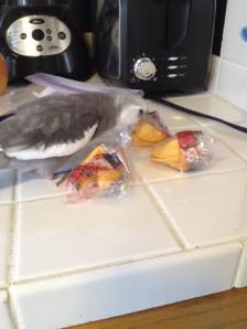 Just a complete lack of discipline in this group!