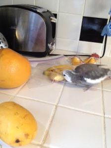 Talk about unstructured!