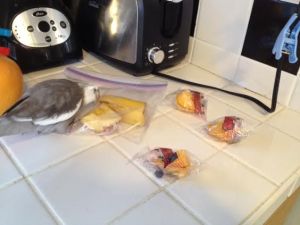 Boy. This is a group in need of herding if I ever did see one!