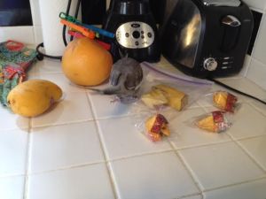 They sure are lucky I came along when I did.