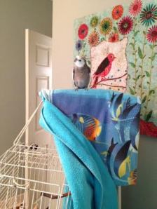 Adopting a suitably "professorial" air lets players know you are about to go over the rules.