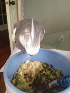 Boy, I could swear we had this same dish yesterday.