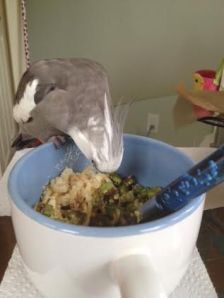 Oh, I remember this pale chewy stuff - I especially liked that part!