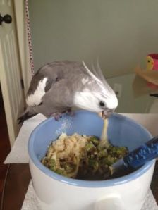 Might as well dig in while it's nice and warm.