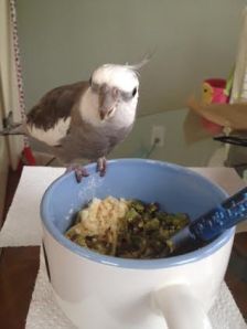 Thanks, Mom - how nice of you to remember I liked this!