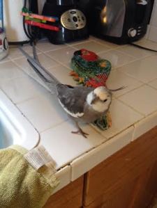 I can't put my finger on why just yet, but everything about this situation says "imposter."