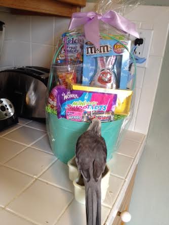 Well what have we here? Where did this come from?