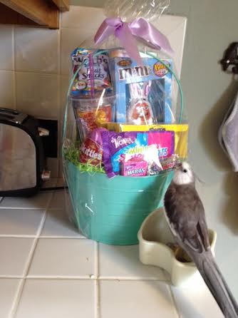 Yup, this is nice and roomy!