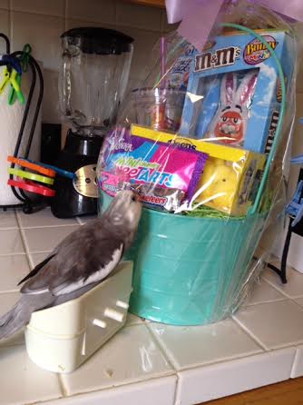 And it seems to have lots of that nice nesting grass I like so much.