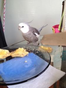 Even when I'm irked I'm still very very cute!!