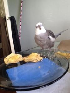 Mom, again? There's only two left!