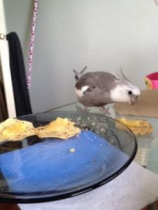 Yup. Worked like a charm....as usual.