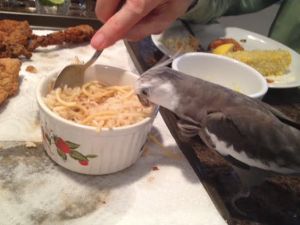 Boy, this dish looks delicious! I can tell it is because the very tall diner keeps eating it.