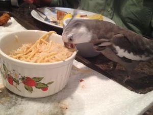 How nice of my Grandpa to give me the rest of his portion - he must be able to tell I really like it!