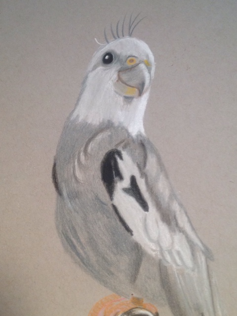 "Portrait of Pearl" by Leta Blanton and Taco