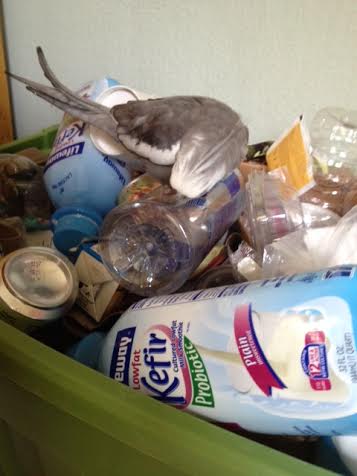 Plastic (very nice and reflective plastic I might add!) - check.