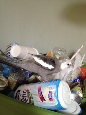 Looks like more plastic. Good. Check.