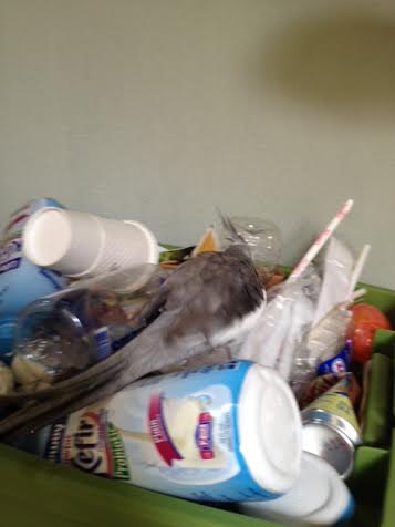 Let me go look in the back now.