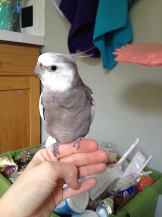 Yes, Mom, I'm all done now so you can take my official press shot.