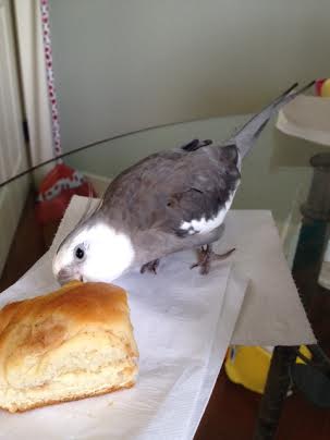 It has a nice soft underbelly - I'll attack it here.