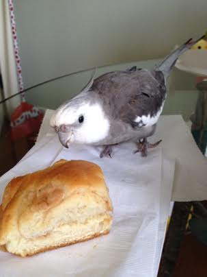 Mom, you can tell Grandma she can make more of this dish - I am really enjoying it!