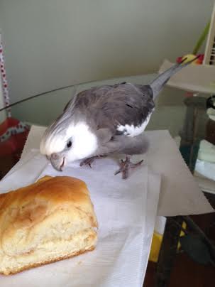 I remember my Grandma packing this up "to go" - it must be for me.