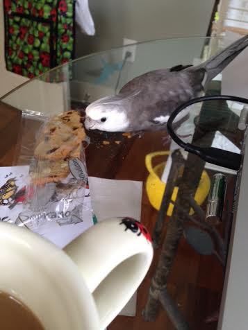 Whoo boy - I see a delicious delicacy!