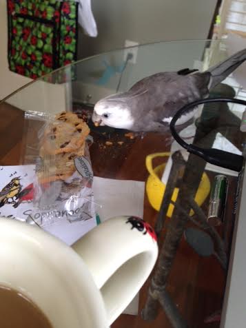 Using my natural "vampire stealth maneuver," I'll just sneak up and vanquish the prey.