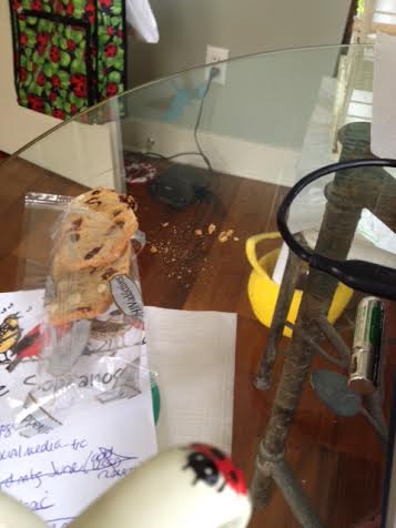 I'll bet the detectives will be working for weeks on this one!