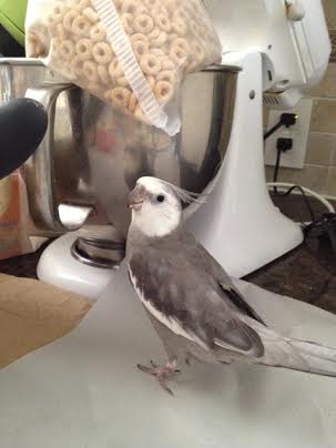 Well, well, well. I spy prettiness!!