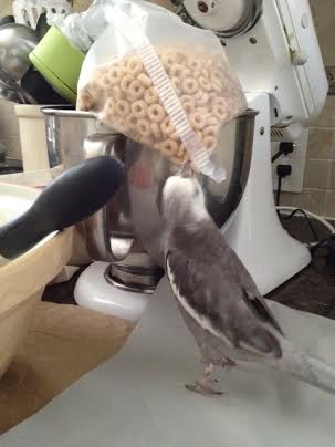 Boy, their security guards are clearly sleeping on the job today.