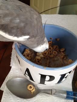 Look at them all. So helpless. Just the way I like them!