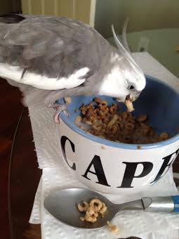 I'll just select my first victim.