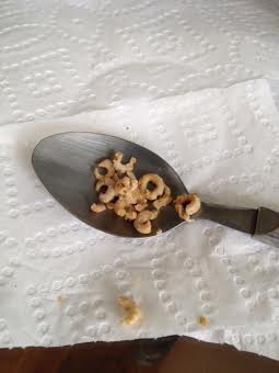 I always like to have my large featherless assistant take a picture of the plungers...I'm just nostalgic that way.