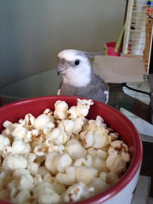 Oh! The cheesy white fluffy things I like! Good snack choice, Mom!