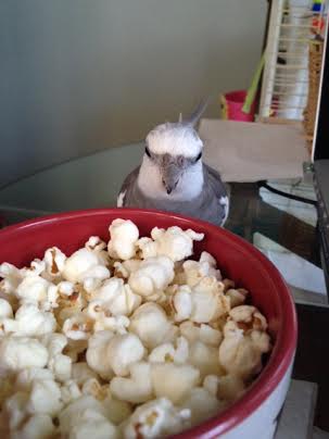 First I'll just fix them with my "stare o' death" to make sure they don't give me any trouble.