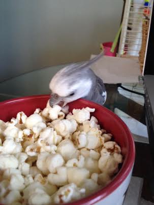 My "element of surprise" maneuver is always a good one!