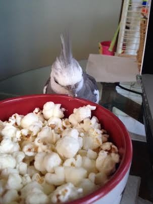 They all look so good - where should I start?