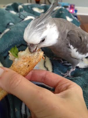 5-star service (otherwise known as "the sandwich comes to you.")