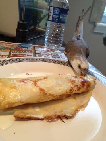 Yes, this delicacy was definitely worth waiting for - nice and warm with a fine, tender flavor. I give it my highest non-waffle rating.