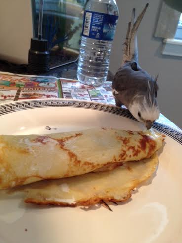 Yup. This is a delicacy for sure. Plus the small chef put it on the Tall Tree's plate so it must be the best delicacy of the day.