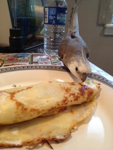 Mom, do you mind? I'm trying to enjoy my portion here.