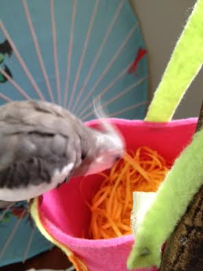 Next I'll leap over the side and free fall down into the soft nesting material.