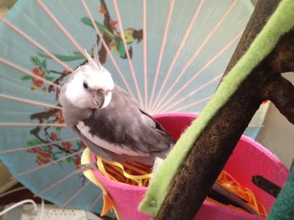 Finally, I will just check the list one more time to make sure every thing is complete.