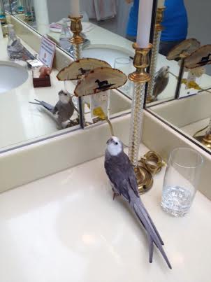 Wow, Mom. I look VERY fetching in this large mirror!
