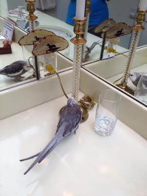 As a matter of fact, I think I can see a very pretty cockatiel over here too.